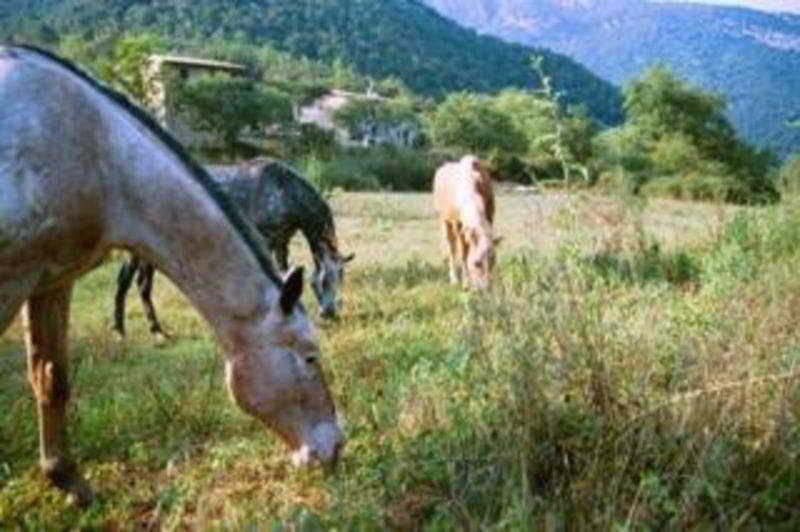 Can Pei Oix Exteriör bild